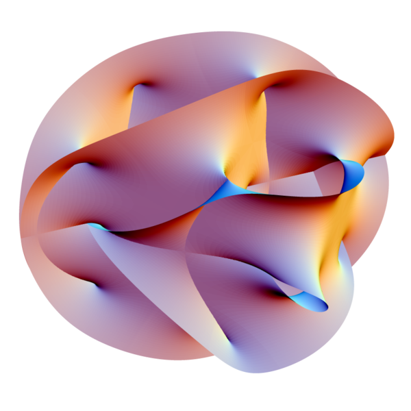 Figure 2: The Calabi-Yau manifold