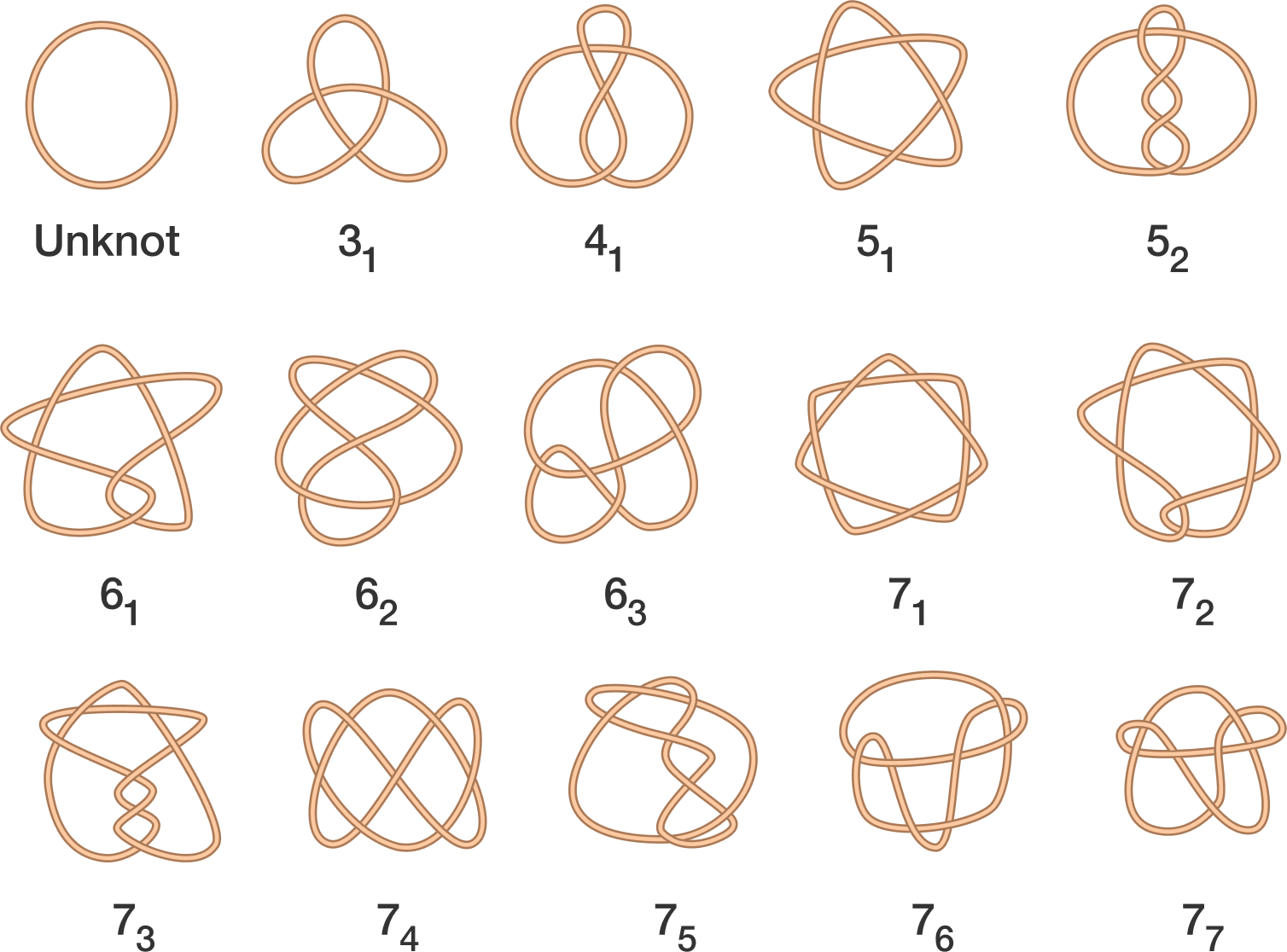 Figure 3: Knots